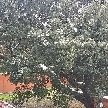 Feriehus Caprirural *